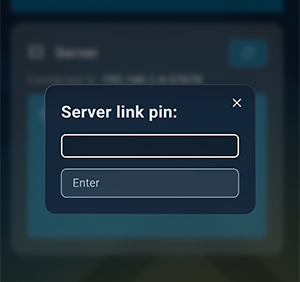 Server Pin Dialog